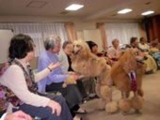 [施設の日常・イベント]ドッグセラピーでは、可愛い犬たちとふれあい、和やかな雰囲気に包まれました。