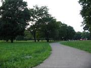 【砧公園】 徒歩 25分
四季折々の表情が楽しめる砧公園。ここでイベントを行ったりもします。