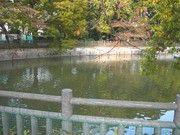 【碑文谷公園】 車 15分湖やミニ動物園がある公園です。緑がたくさんある憩いの場です。