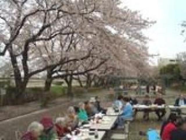 [施設の日常・イベント / お花見]近くの河原の公園で、食べたり飲んだりしながらお花見しました。