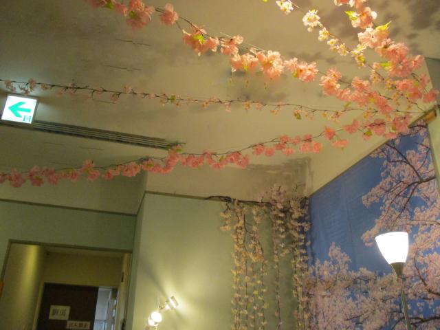 桜カフェOPEN！