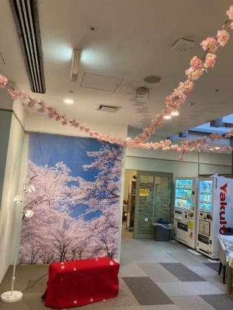桜咲く🌸１