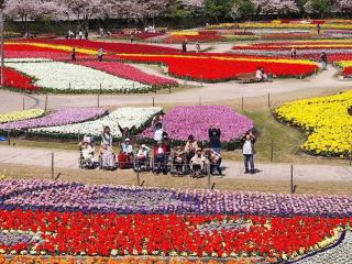 [施設の日常・イベント]