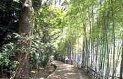 【伊丹緑道】 徒歩 10分
木漏れ陽が美しく、自然を感じる散策コースも近くにあります。