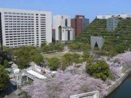 フェリオ天神から見る天神中央公園