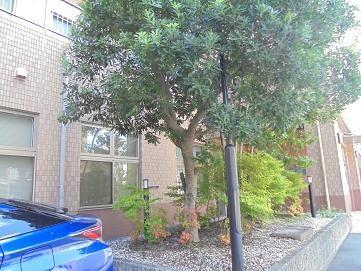 10月になりました