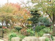 【篠崎６丁目公園】 徒歩 2分周辺は公園が点在し、散策しながら四季折々の花や緑が楽しめます。