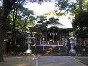 【大鷲神社】 車 10分
浅草や新宿の花園神社の酉の市が有名ですが、花畑のお酉様がその発祥地だそうです。