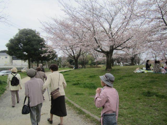 桜の花見に行ってきました！