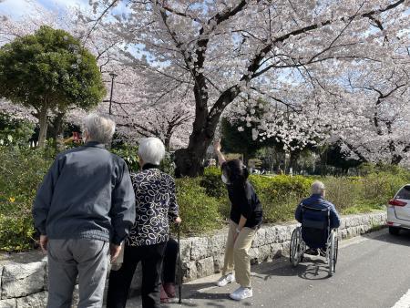 お花見ドライブ