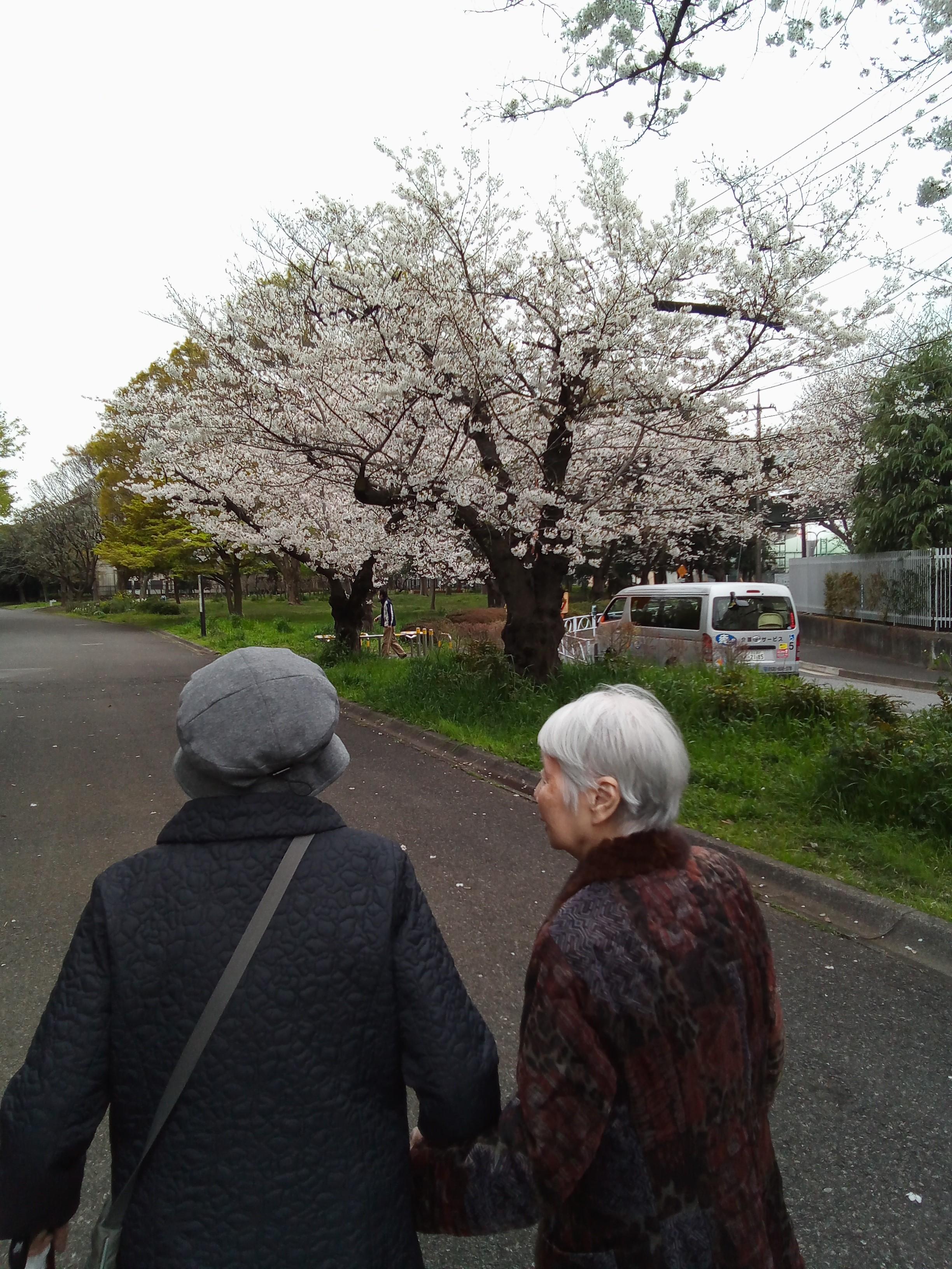 お花見?2