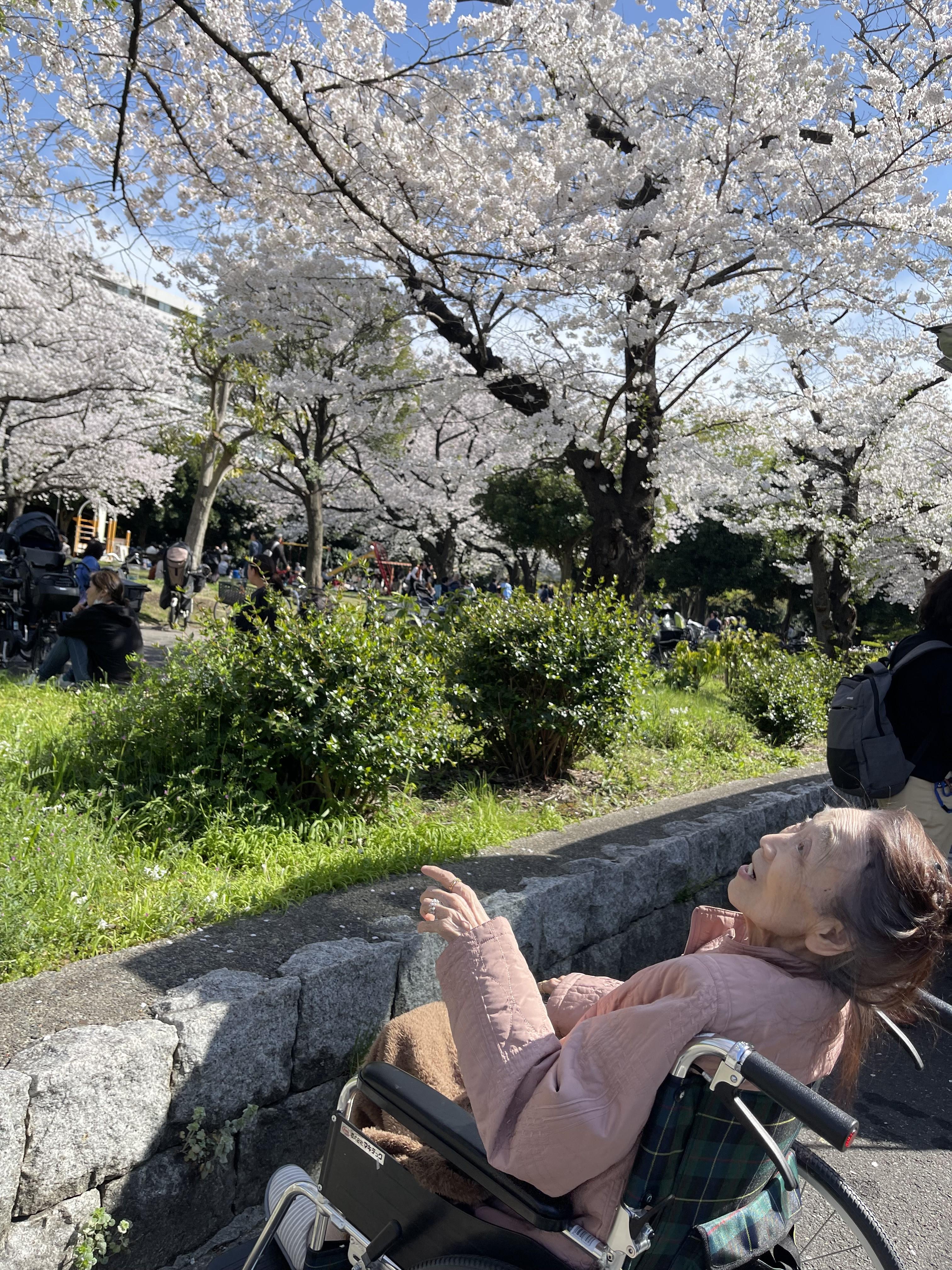お花見?3