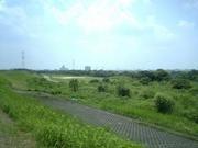 【淀川河川敷】 徒歩 3分
草の緑がまぶしい淀川河川敷はお散歩コースとしても最適。