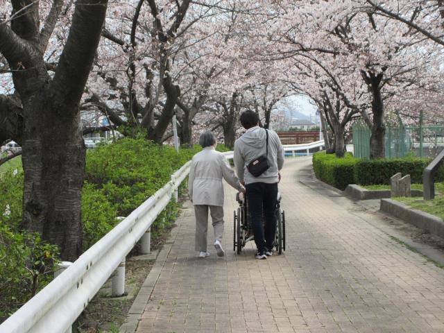 お花見