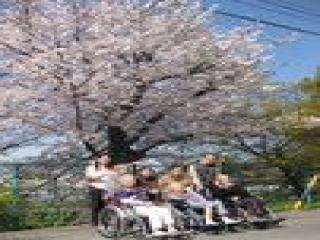 [施設の日常・イベント]春先には、近くの桜を見に出かけます。季節を感じることを大切にしています。