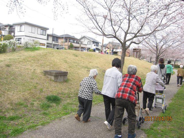 4月5日　井上公園で桜のお花見！
