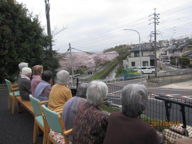 4月10日　またまたお花見