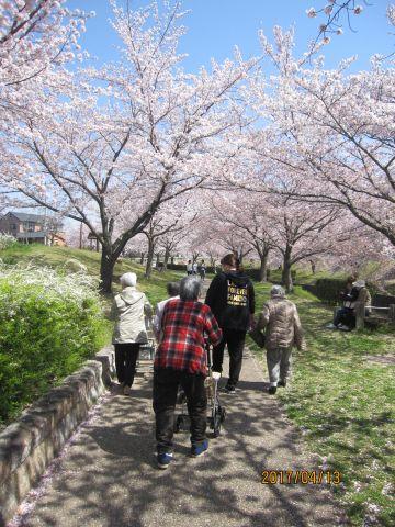 4月13日　2度目の井上公園お花見！