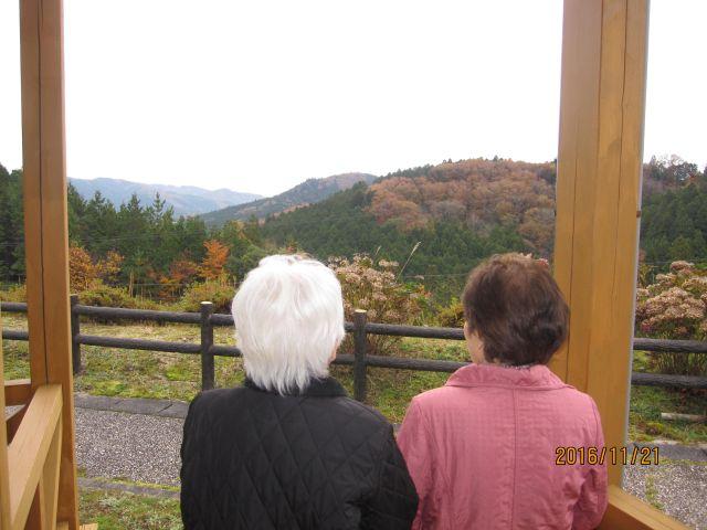 11月21日　下山のまどいの丘へ