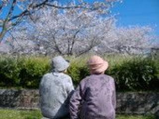 [施設の日常・イベント]桜やつつじや菖蒲など、花見は心が癒されます。