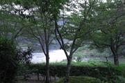 【矢作川】 車 5分
施設周辺は豊かな自然に恵まれ、近くには矢作川も流れています。