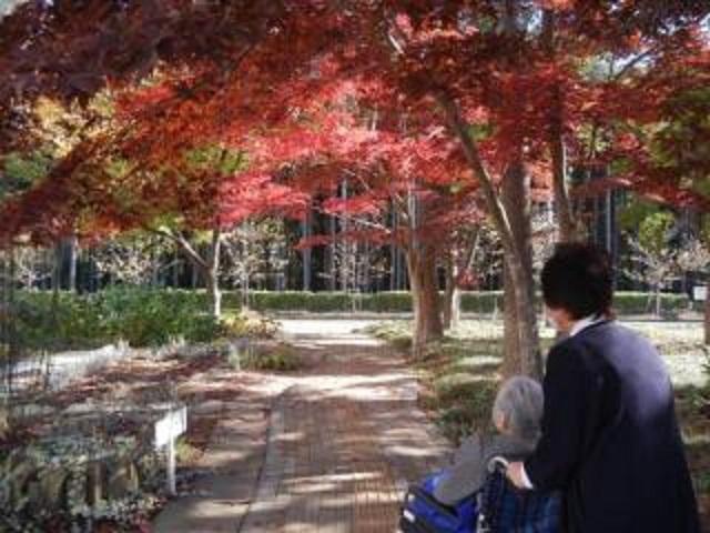 [施設の日常・イベント]お庭の紅葉がトンネルを作りました。スタッフとのお散歩に楽しみが増えました。