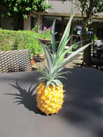 ついに！美味しく実りました！