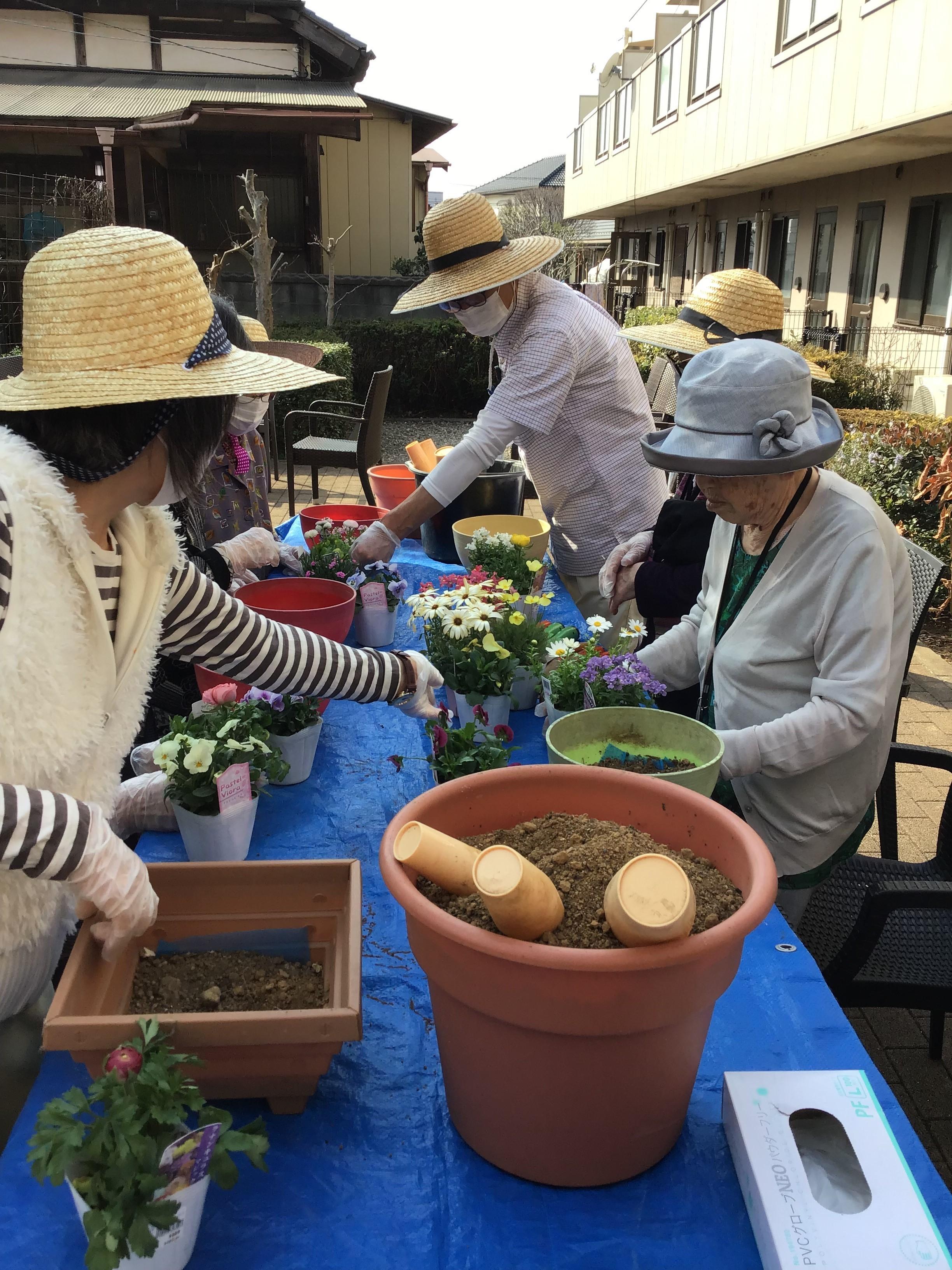 中庭にて寄せ植え