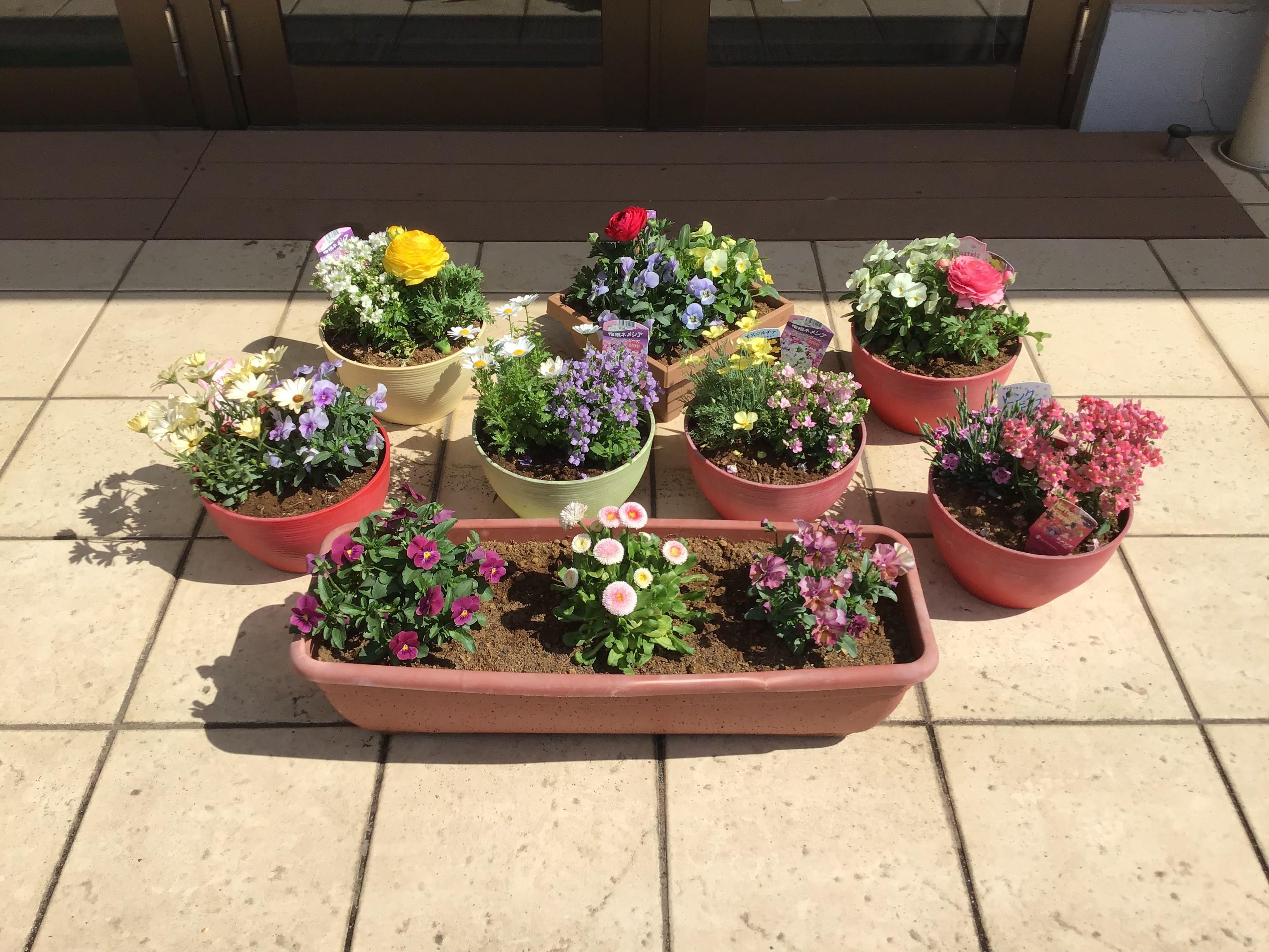 中庭にて寄せ植え2