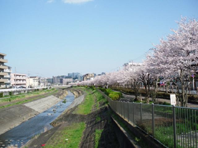 施設裏の大栗川