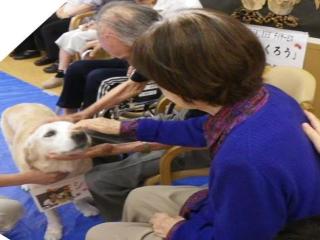 [施設の日常・イベント]かわいいワンちゃんと触れ合うドッグセラピー。感情表現をより豊かにし、行動への意欲も高めます