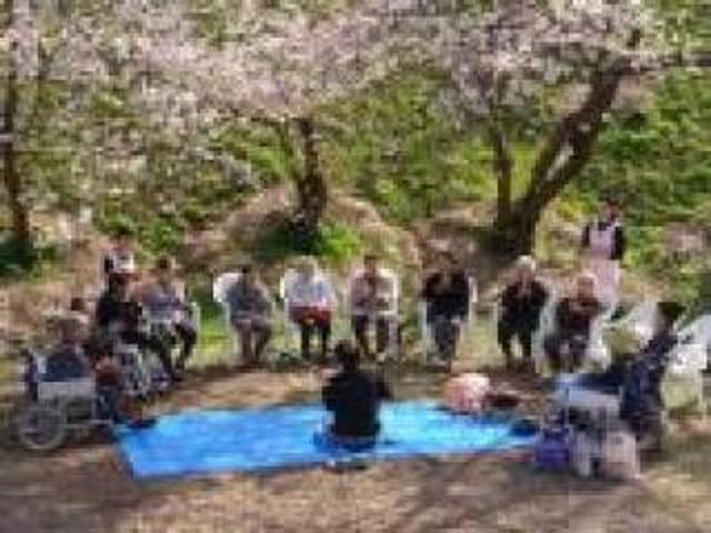 [施設の日常・イベント]桜の木の下で、スタッフがおしゃみせんを披露。三味線の音は、心が和みますね！