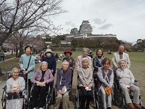 お花見日帰り旅行