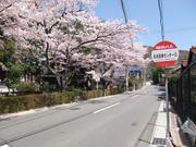【「長良医療センター口」バス停】 徒歩 2分
最寄りのバス停まではすぐ。春には桜並木がキレイです。