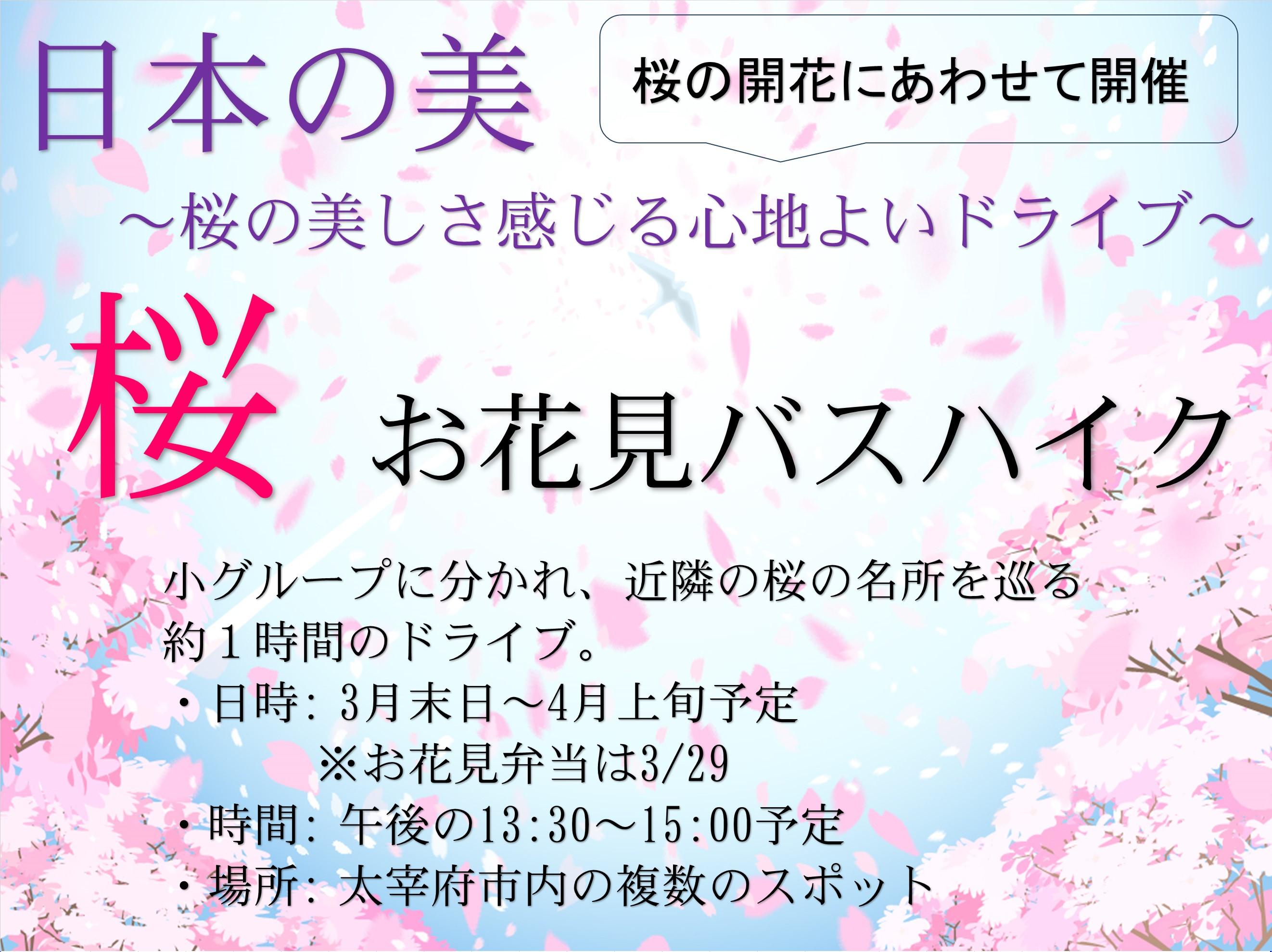 春の訪れを共に感じる～パールヴィラ太宰府の花見ドライブと部屋からの桜～