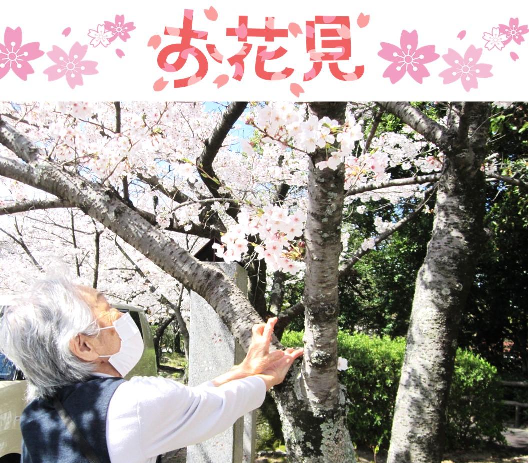 春の訪れを感じるお花見バスハイクのご案内