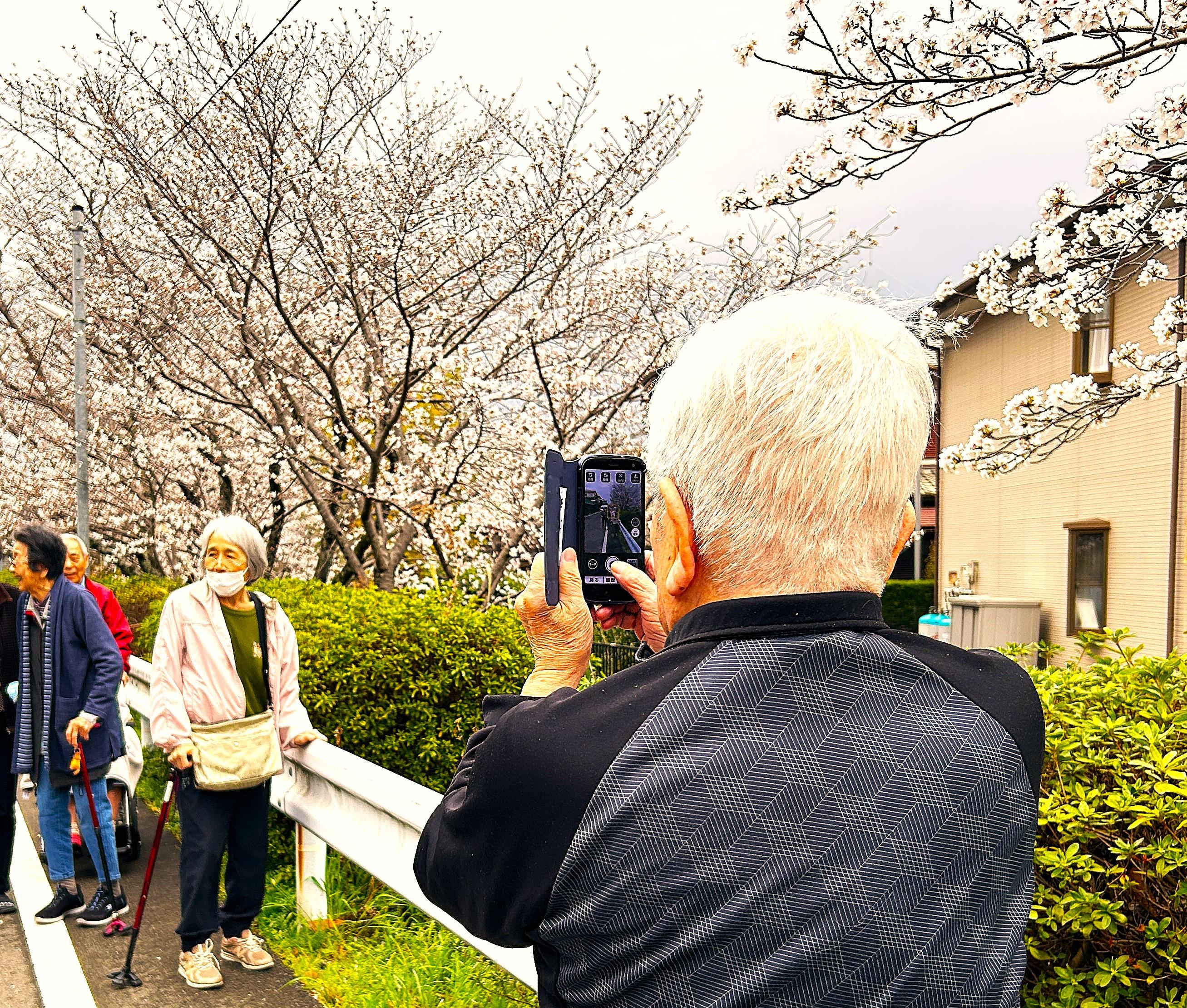 春爛漫!お花見バスハイク🌸春の風に吹かれながら心も体もリフレッシュ!