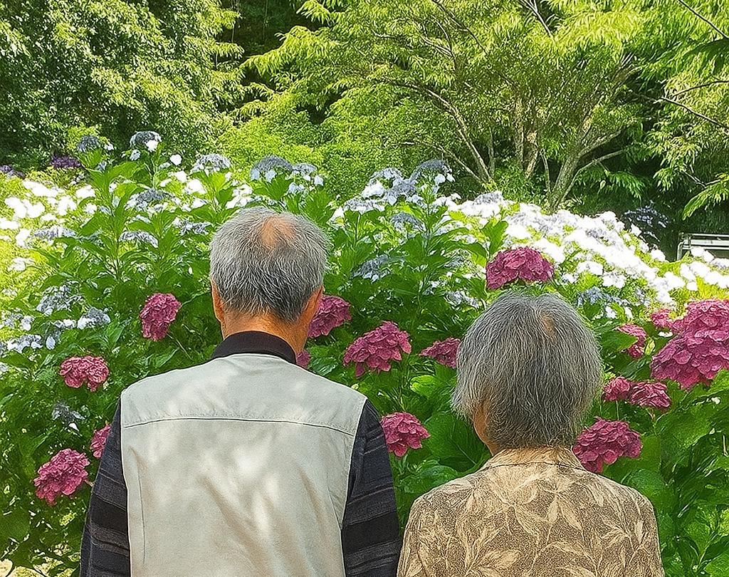 リハビリの成果が実感できる「紫陽花バスハイク」本日最終日!