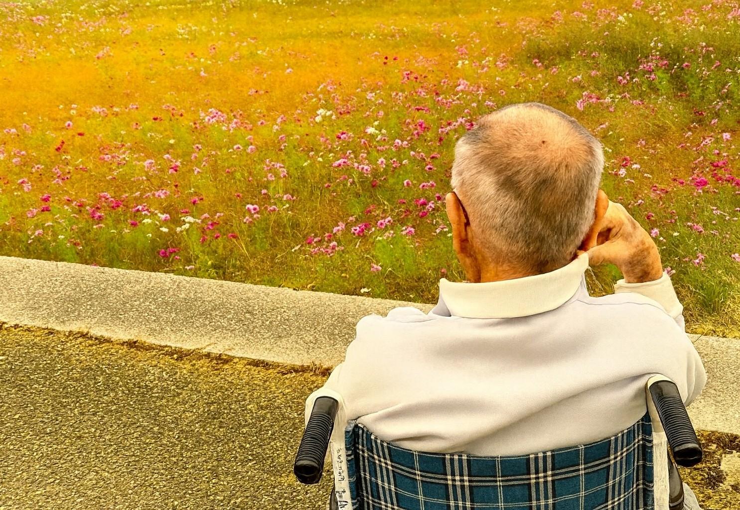 秋桜～外出レクリエーションのご案内〜秋風の中で心も体もリフレッシュ〜