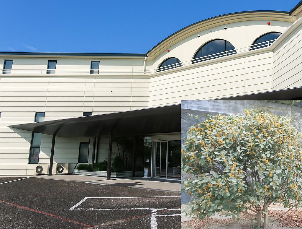 【パールヴィラ太宰府「空と山の近くで暮らす」 秋風にのって金木犀の香り