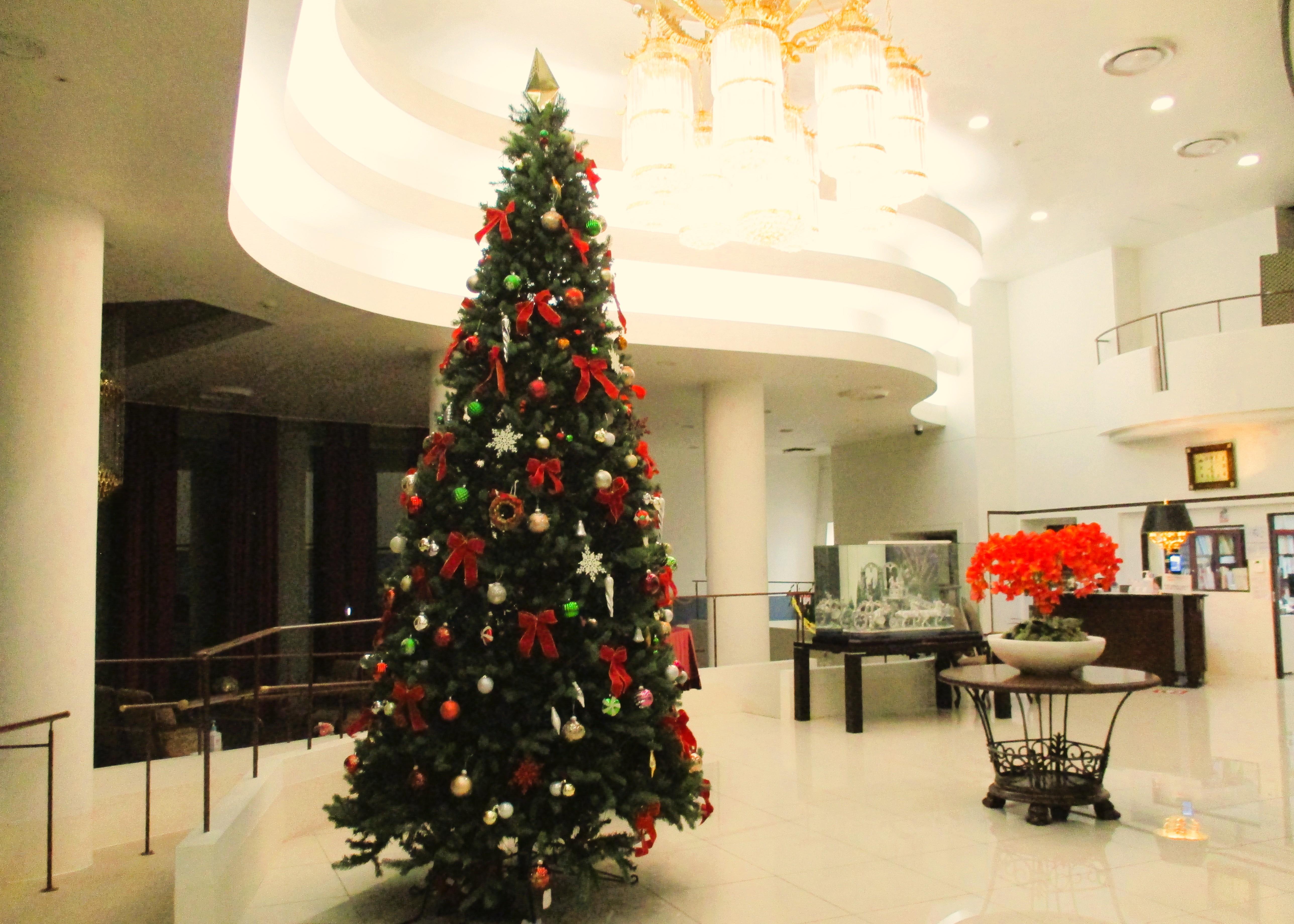 パールヴィラ太宰府 2025年クリスマスイベント予定発表!!