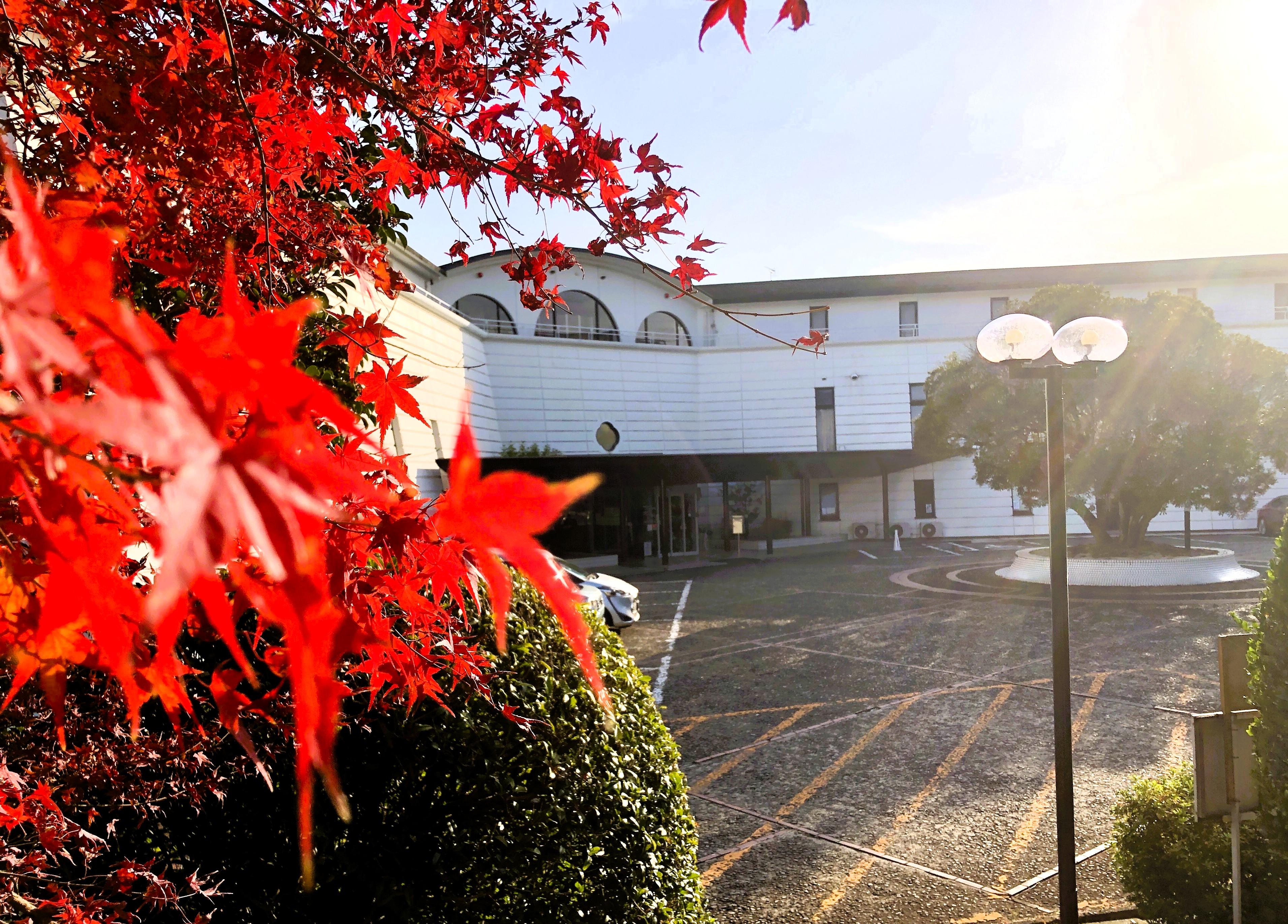 パールヴィラ太宰府～紅葉が彩る太宰府の秋～窓から眺める贅沢な季節