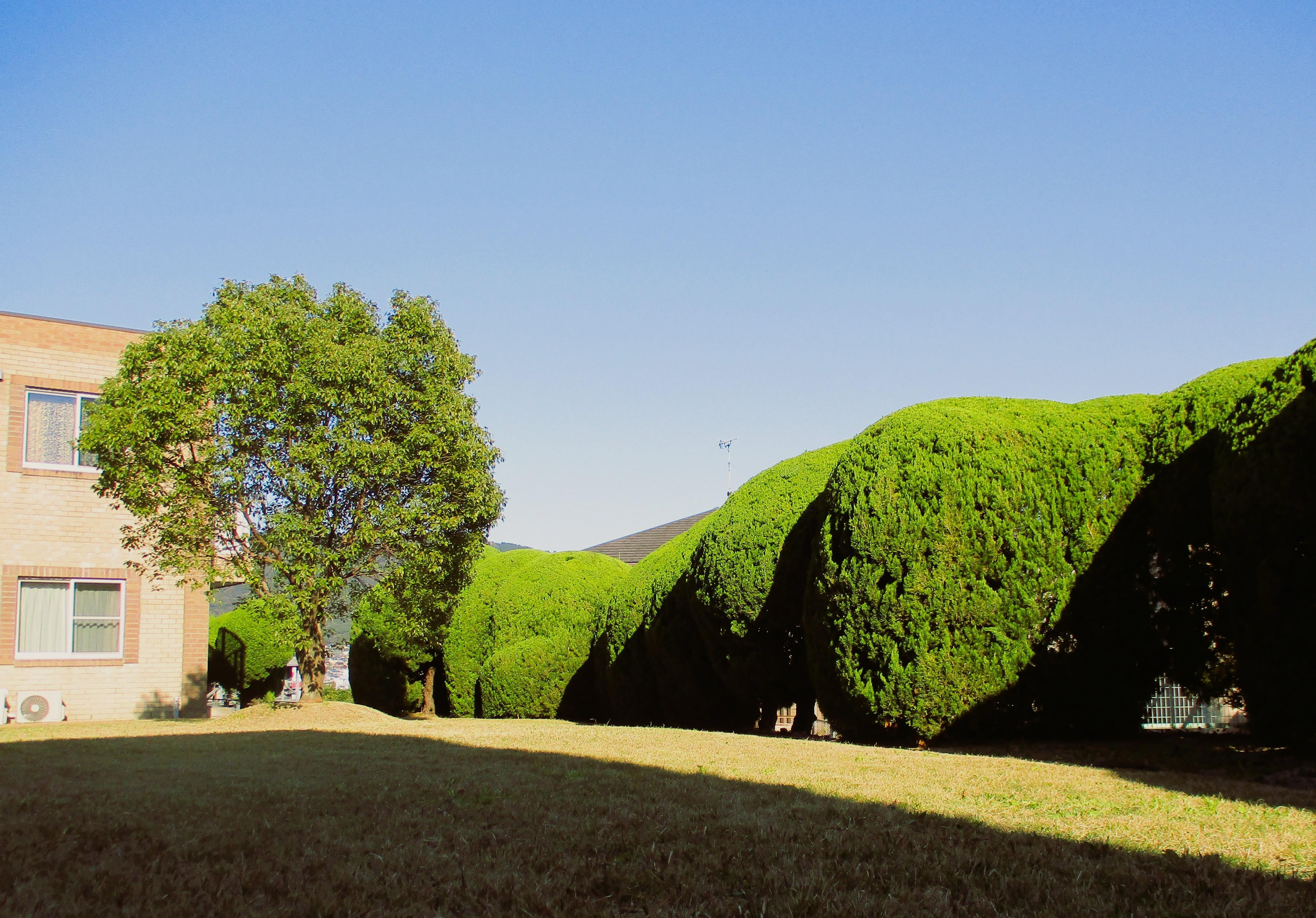 パールヴィラ太宰府🌳季節の移ろいを感じる庭園～本日はメンテナンス～