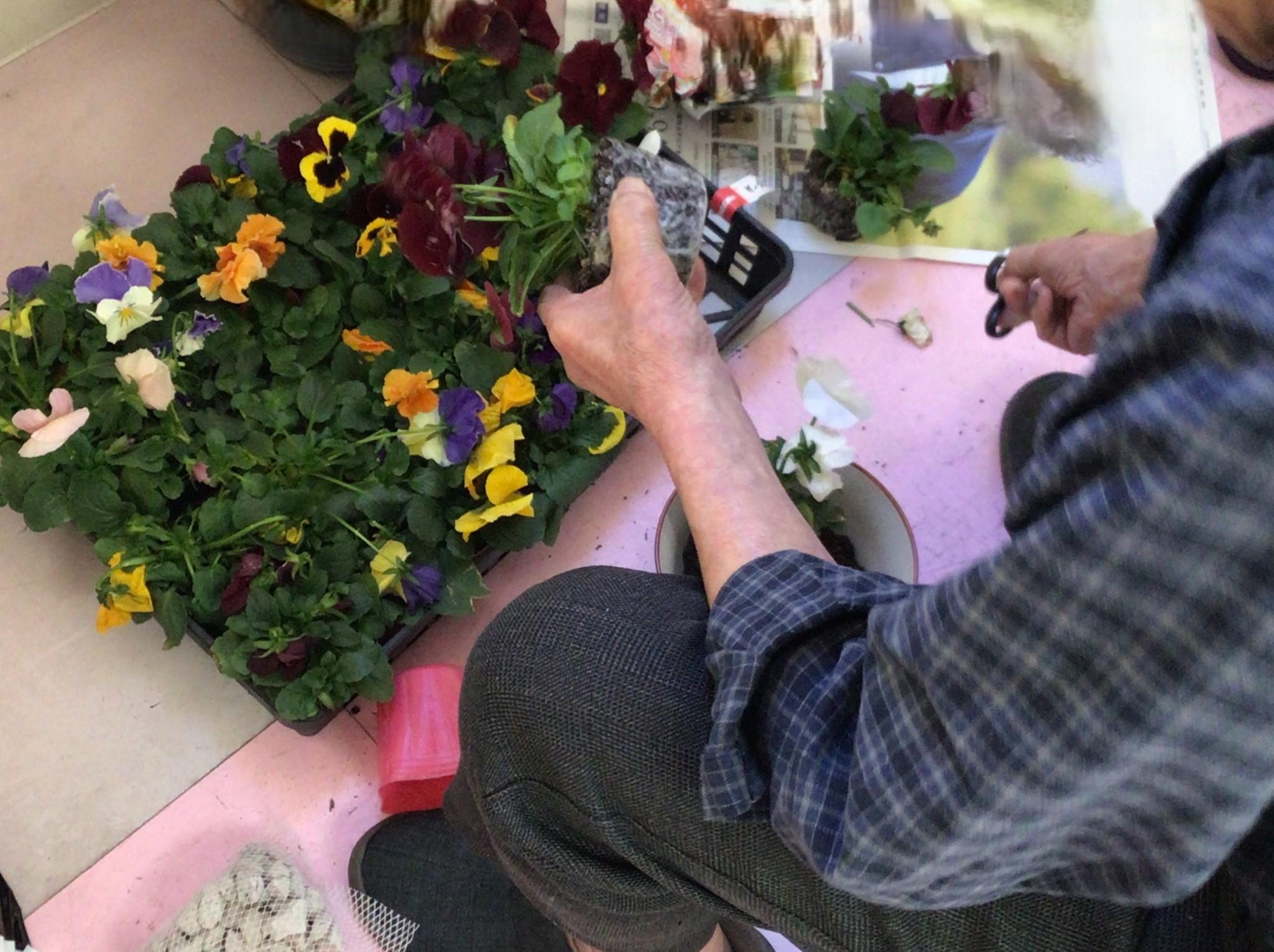 パールヴィラ太宰府【NEW】季節の花を育てる園芸クラブがスタート!