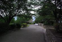 【太宰府歴史スポーツ公園　歩道】 徒歩 1分
機能訓練の際に、歩行練習に行きます。