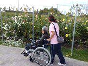 【馬見丘陵公園】 車 15分
季節ごとの景色や花々が楽しめ、お散歩コースにぴったり。