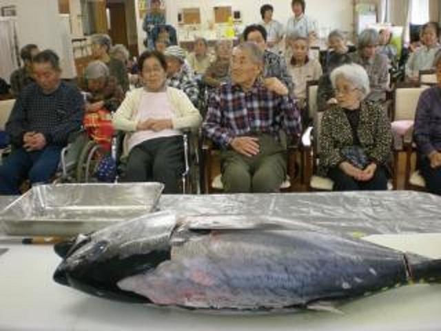 [お食事]まぐろ解体ショー