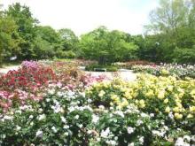 【田能農業公園３】 徒歩 1分
四季折々のお花を楽しみながらお散歩もできます。