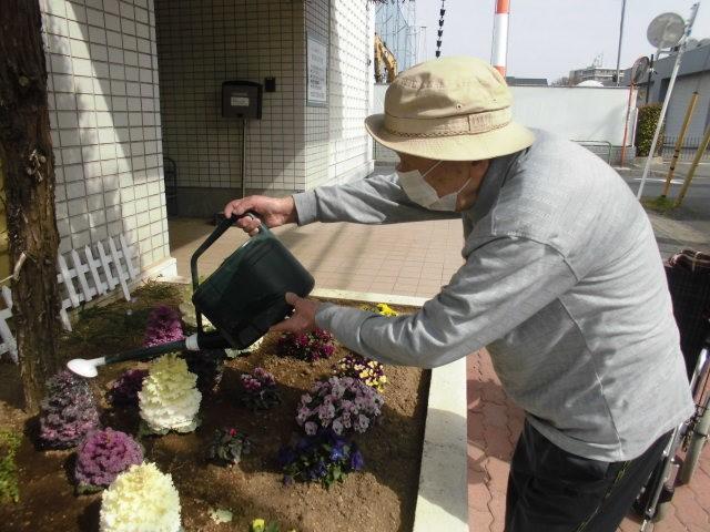 花壇の水やり