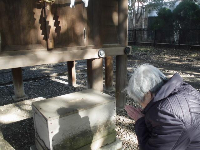 近隣の神社に初詣